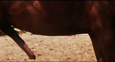 ພະນັກງານສູນໂທສາຍພັນປະລິນຍາຕີເພື່ອການຮ່ວມເພດ.