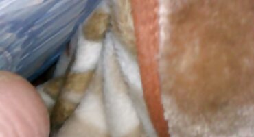 ຜົມດຳໄດ້ຮັບການຮ່ວມເພດທາງຮູທະວານຈາກເພື່ອນ.