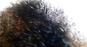 Sadie Pop ປ່ຽນແທນຫີຂອງອ້າຍລ້ຽງທຸກໆມື້.