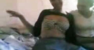 ດູດ cock ພາຍໃຕ້ການສູ້ຮົບຂອງ chimes.