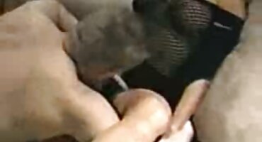 ເດັກຍິງນິ້ວມື cock ສຸດ pussy ຂອງນາງ.